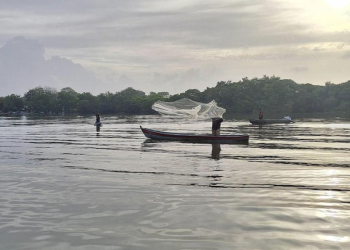 Día Mundial de la Pesca: Guatemala refuerza acciones para promover la pesca responsable. Foto: MAGA